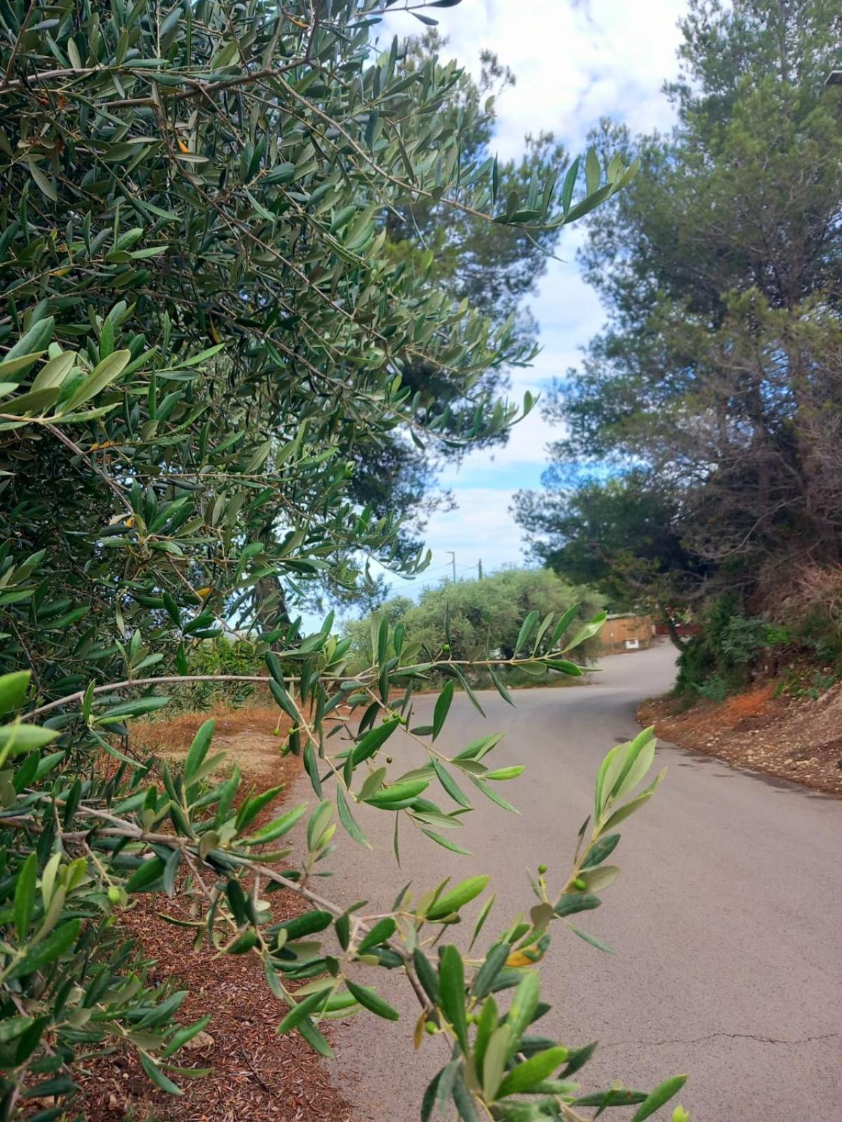 Dolci Risvegli Appartamento Vista Mare Ventimiglia Ngoại thất bức ảnh