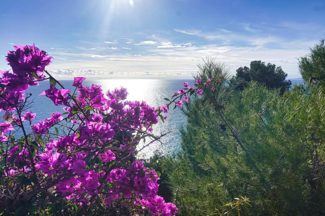 Dolci Risvegli Appartamento Vista Mare Ventimiglia Ngoại thất bức ảnh